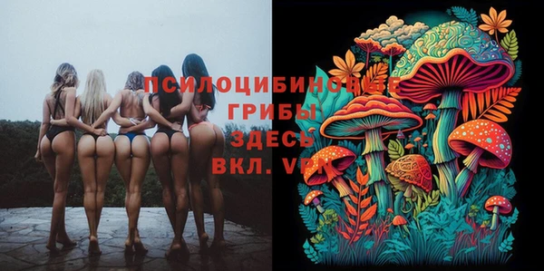 таблы Пестово