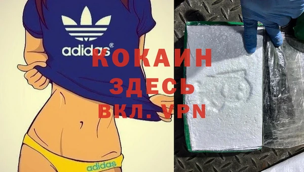 СК Покровск