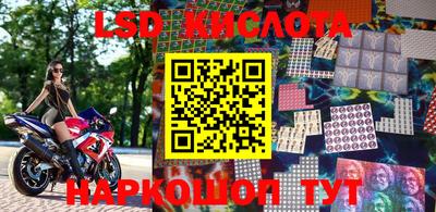 стафф Гатчина