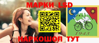 стафф Гатчина