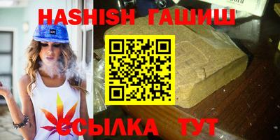 стафф Гатчина