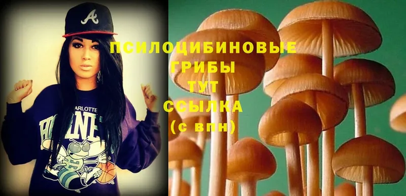 Галлюциногенные грибы MAGIC MUSHROOMS  даркнет официальный сайт  Зеленодольск 