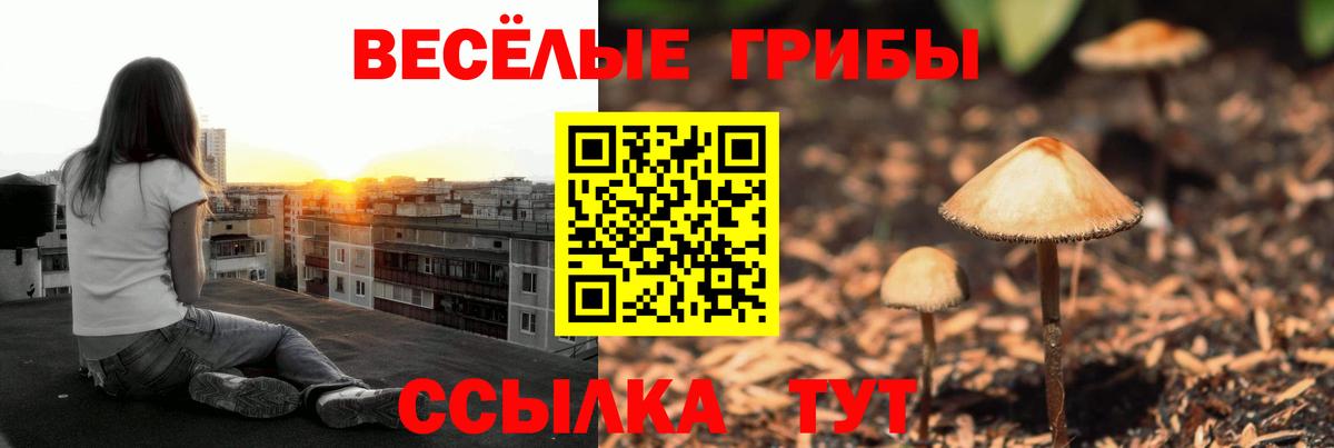 где продают наркотики  Вход с VPN  Зеленодольск  Псилоцибиновые грибы мицелий  Галлюциногенные грибы Magic Shrooms 
