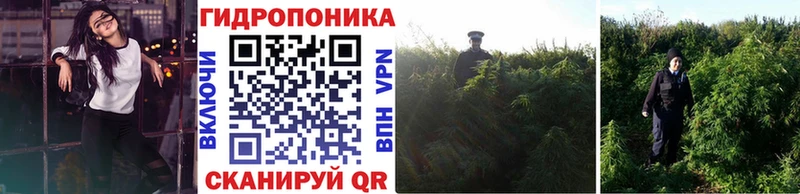 купить наркотик  Зеленодольск  Марихуана конопля 