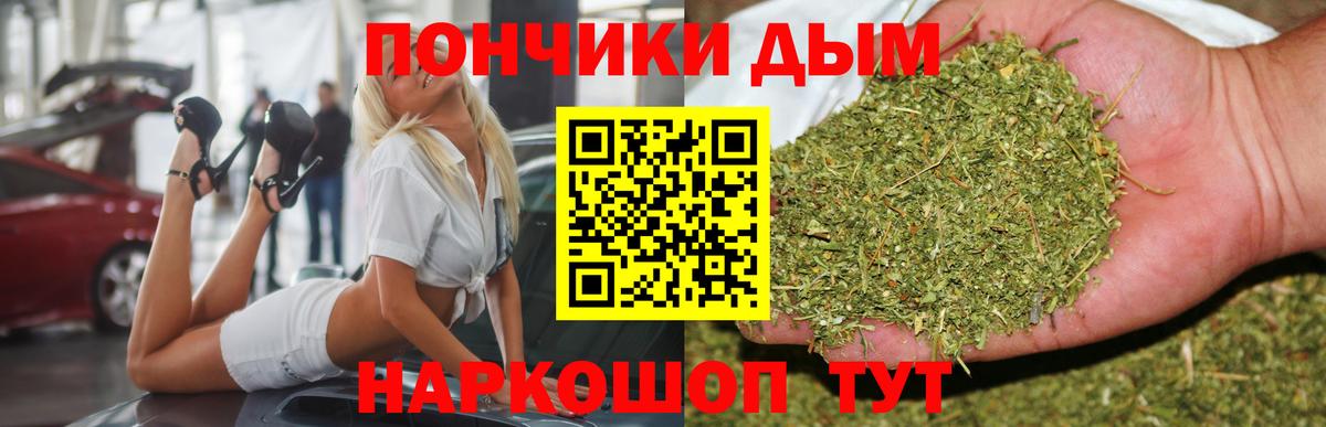 Шишки марихуана семена Зеленодольск